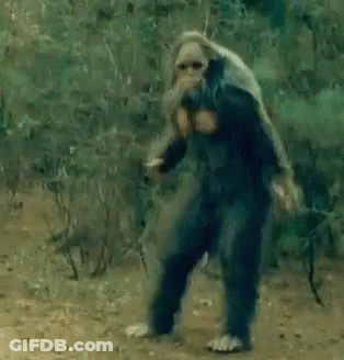 Monkey Standing On Person's Back GIF