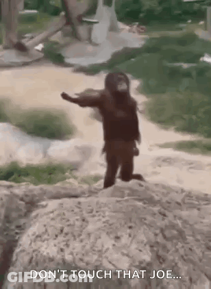 Monkey Standing On Rock In Zoo GIF