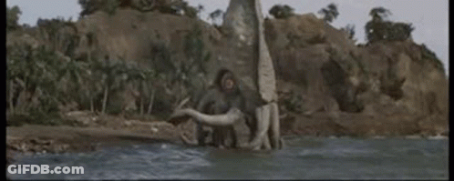 Monkey Standing On Tree Trunk In Water GIF