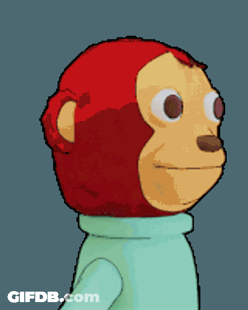 Monkey Stare Sticker GIF