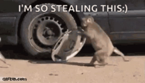 Monkey Stealing From Car GIF