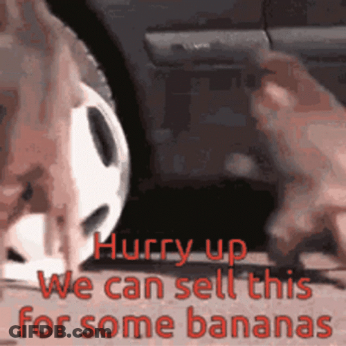 Monkey Stealing Tire For Selling GIF