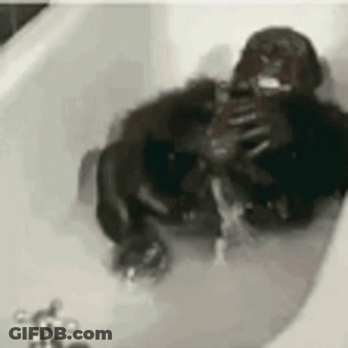 Monkey Swimming Aggressively In A Tub GIF
