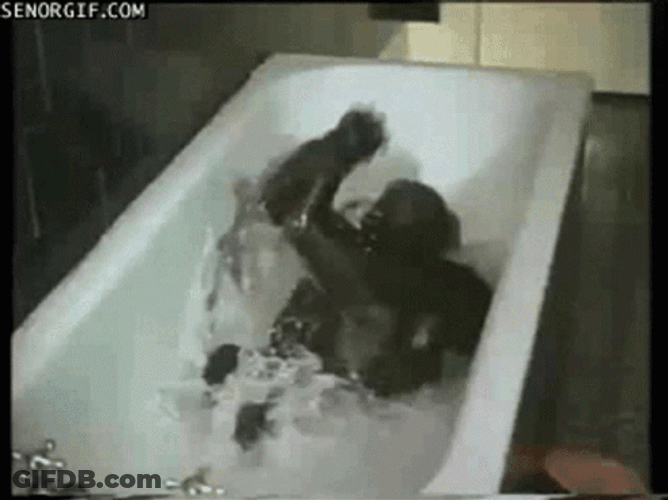 Monkey Swimming Happily GIF