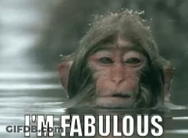 Monkey Swimming I'm Fabulous GIF