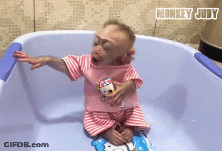Monkey Swimming In A Pink Dress GIF