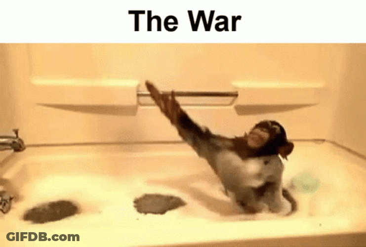Monkey Swimming In A Tub The War GIF