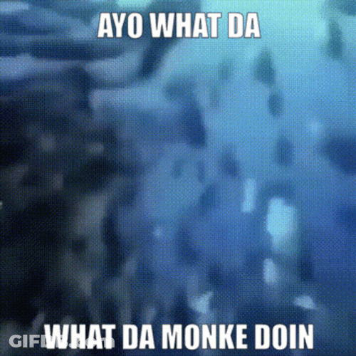 Monkey Swimming In The Deep Ocean GIF