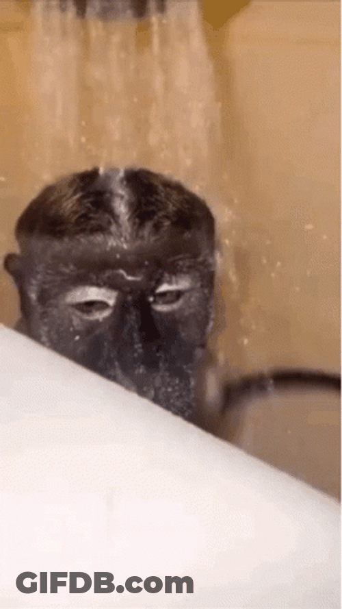 Monkey Swimming Showering Closed Eyes GIF