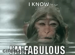 Monkey Swimming With I Know I'm Fabulous GIF