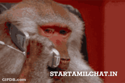 Monkey Talking On Cell Phone GIF