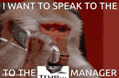 Monkey Talking On Cell Phone I Want To Speak To The Manager GIF
