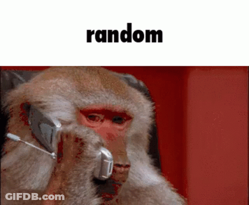 Monkey Talking On Cell Phone Saying Random GIF