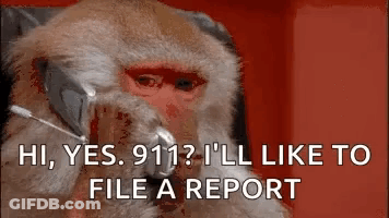 Monkey Talking On Phone Saying Hi GIF