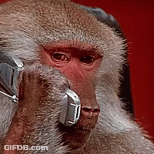 Monkey Talking On Phone GIF