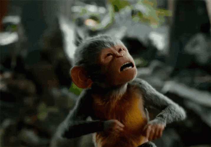 Monkey Tongue Out GIF