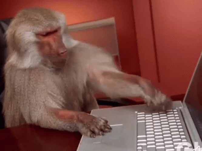 Monkey Tries Typing Meme GIF
