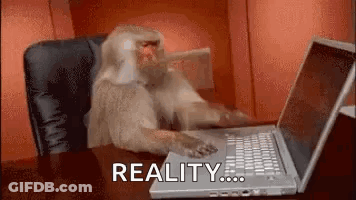 Monkey Typing On Laptop GIF