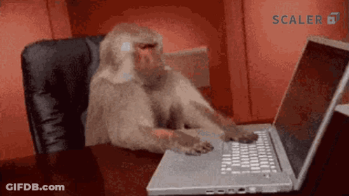 Monkey Typing On Laptop GIF