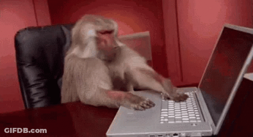 Monkey Typing On Laptop In Chair GIF