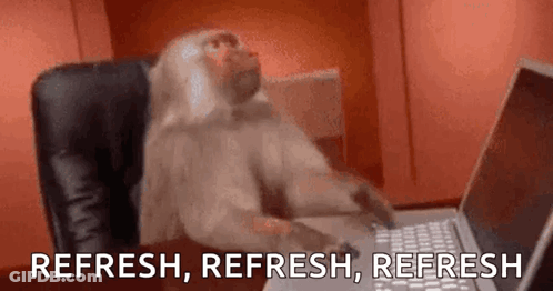 Monkey Typing On Laptop GIF