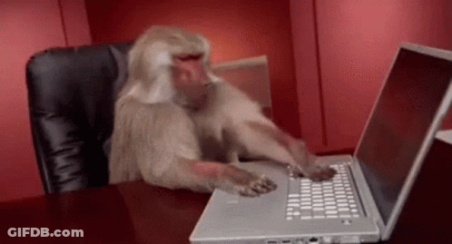 Monkey Typing On Laptop GIF