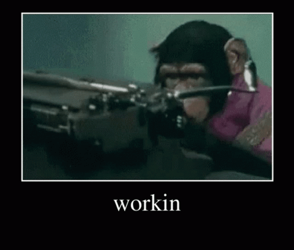 Monkey Typing Work Busy Day GIF