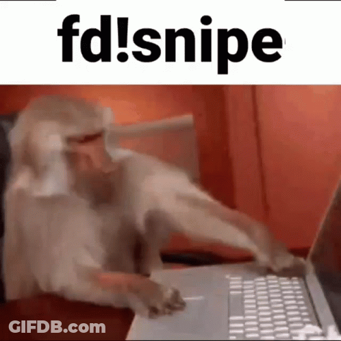 Monkey Using Laptop With FD Snipe Above GIF