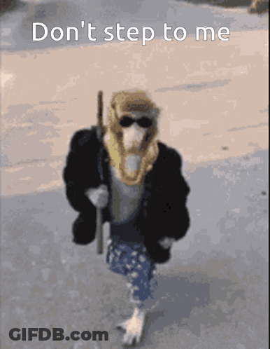 Monkey Walking Don T Step To Me GIF