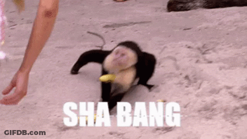 Monkey Walking On Beach Holding Banana With Person Behind GIF