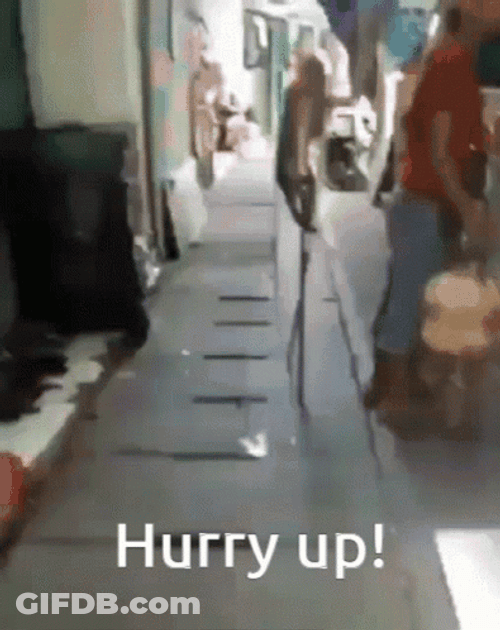 Monkey Walking On Stilts Hurry Up GIF