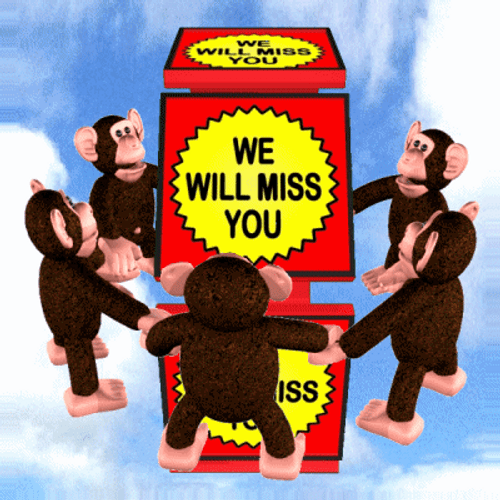 Monkey We Will Miss You GIF