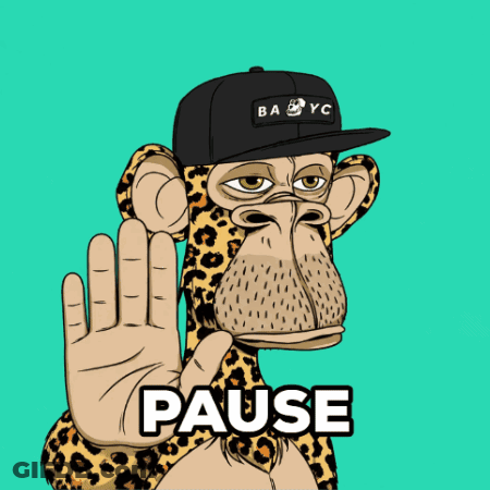 Monkey Wearing Baby YC Hat GIF