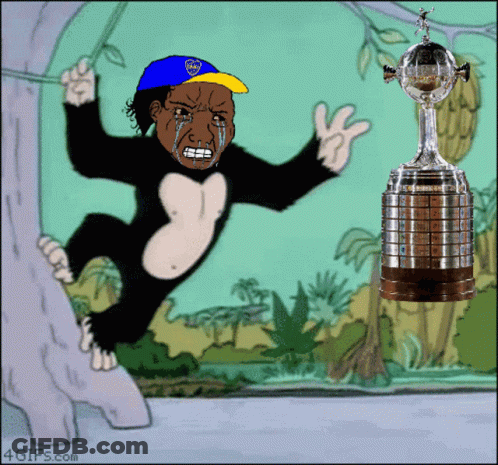 Monkey Wearing Blue And Yellow Cap Saying Boca GIF