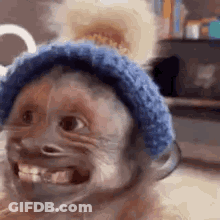 Monkey Wearing Blue Hat Smiling GIF