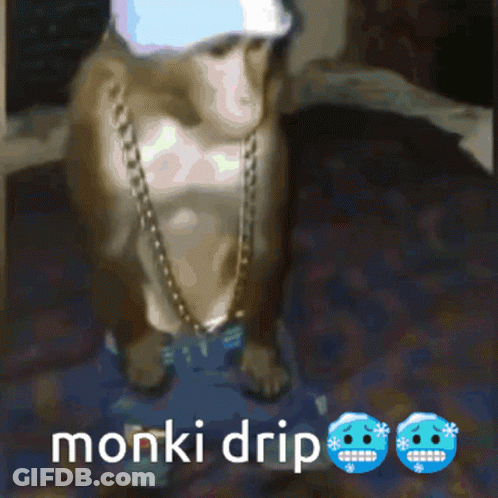 Monkey Wearing Chain And Hat Monki Drip GIF