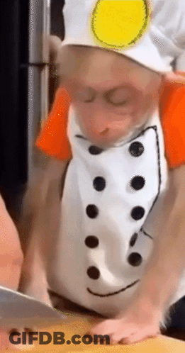 Monkey Wearing Chef's Hat And Apron GIF
