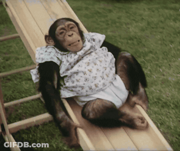 Monkey Wearing Dress On Slide GIF