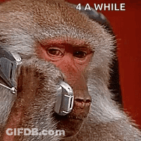 Monkey Wearing Headphones 4 A While GIF