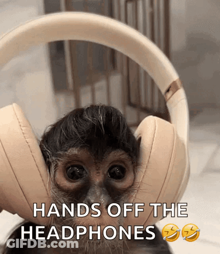 Monkey Wearing Headphones Saying Hands Off GIF