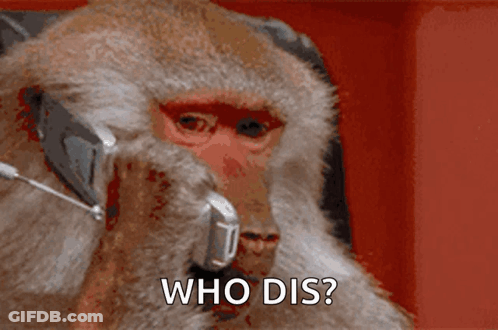 Monkey Wearing Headphones Talking On Phone GIF