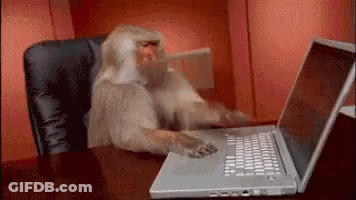Monkey Wearing Headset At Computer GIF