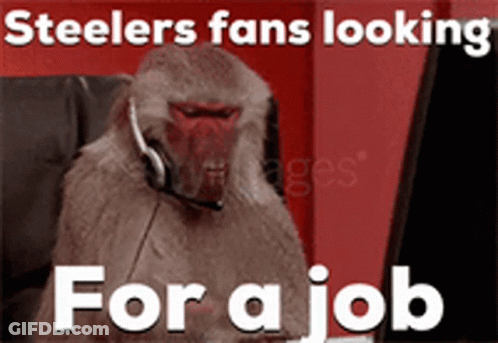 Monkey Wearing Headset Steelers Fans Looking For A Job GIF