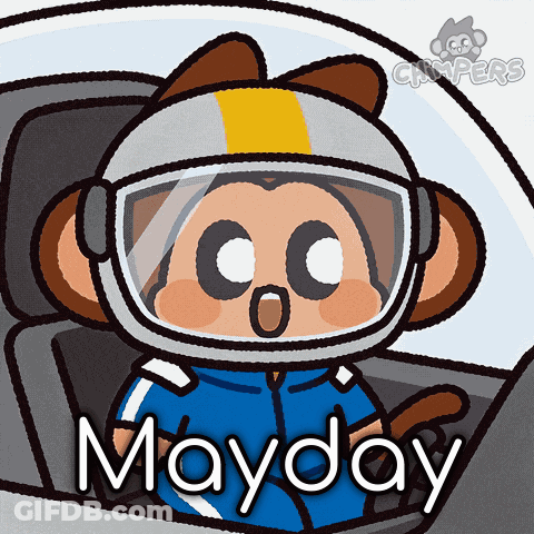 Monkey Wearing Helmet Mayday GIF