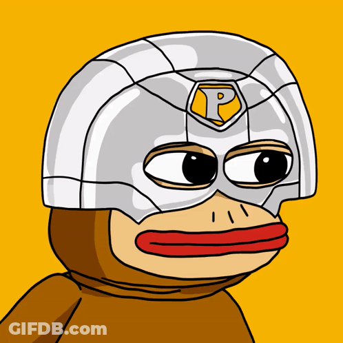 Monkey Wearing Helmet With P GIF