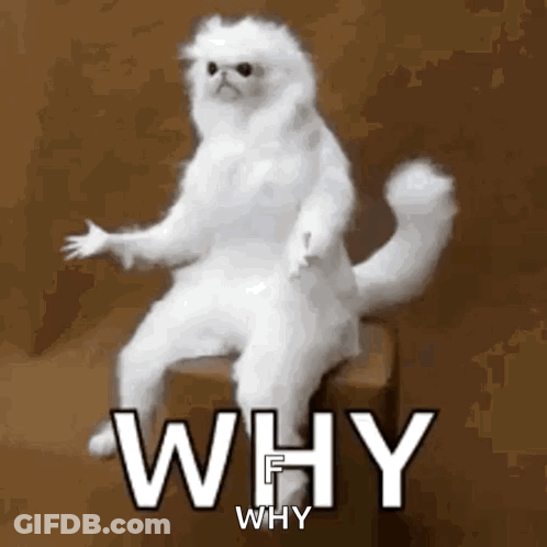 Monkey Wearing Mask Lying In Bed GIF