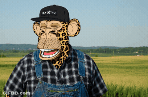 Monkey Wearing Overalls And BA & YC Hat GIF