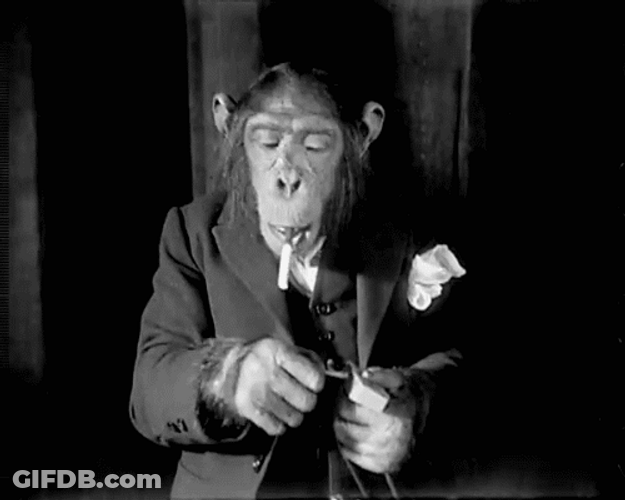 Monkey Wearing Suit Animated Smoke GIF