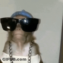 Monkey Wearing Sunglasses And Chain GIF