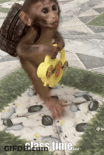 Monkey With Backpack Playing Class Time Toy GIF
